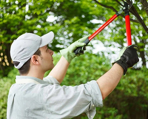 Lawn care expert