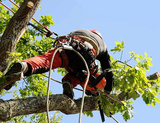 Lawn Care Services in Brant Lake